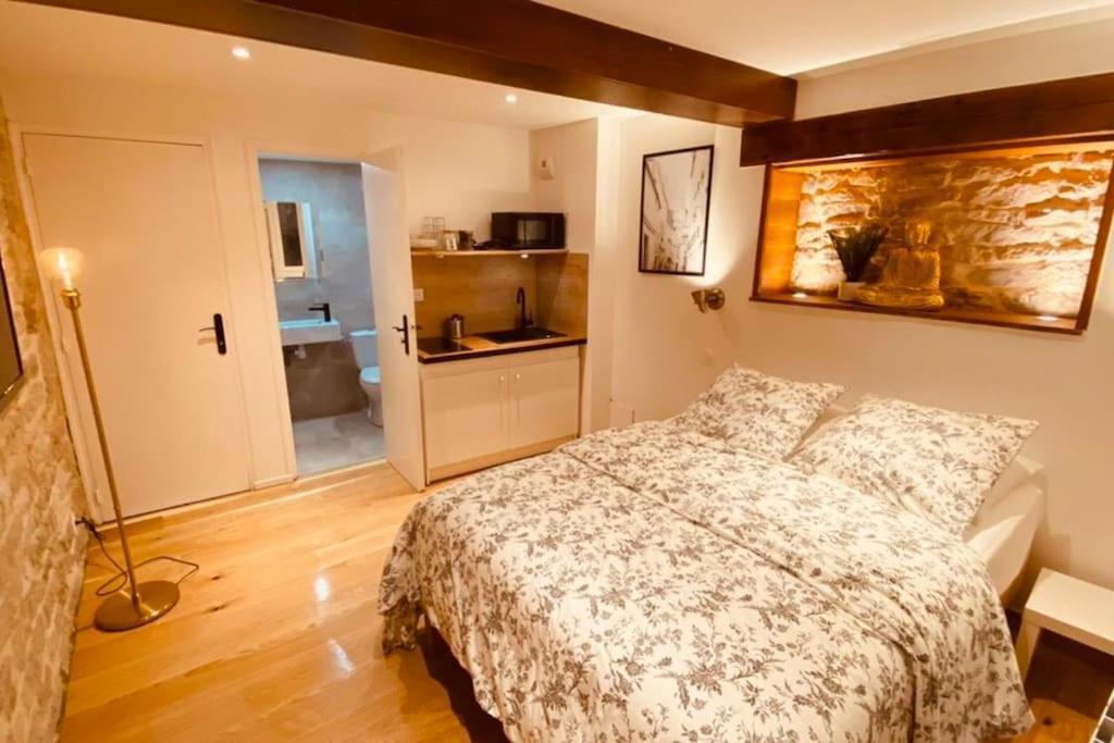 Studio Renove Avec Patio, Coeur Du Centre Ville Besancon Luaran gambar